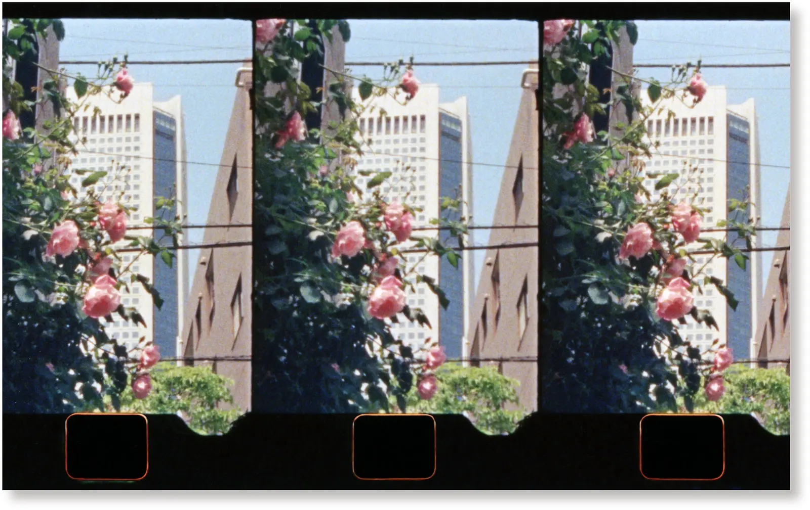 Tokyo Sequence image 7