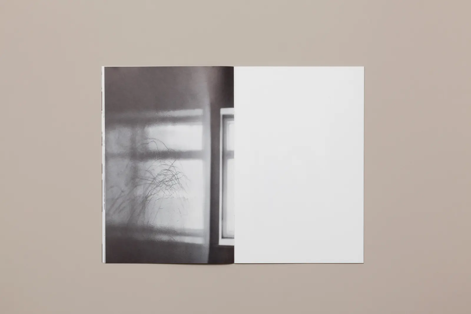 A Day in the Life of... image 3