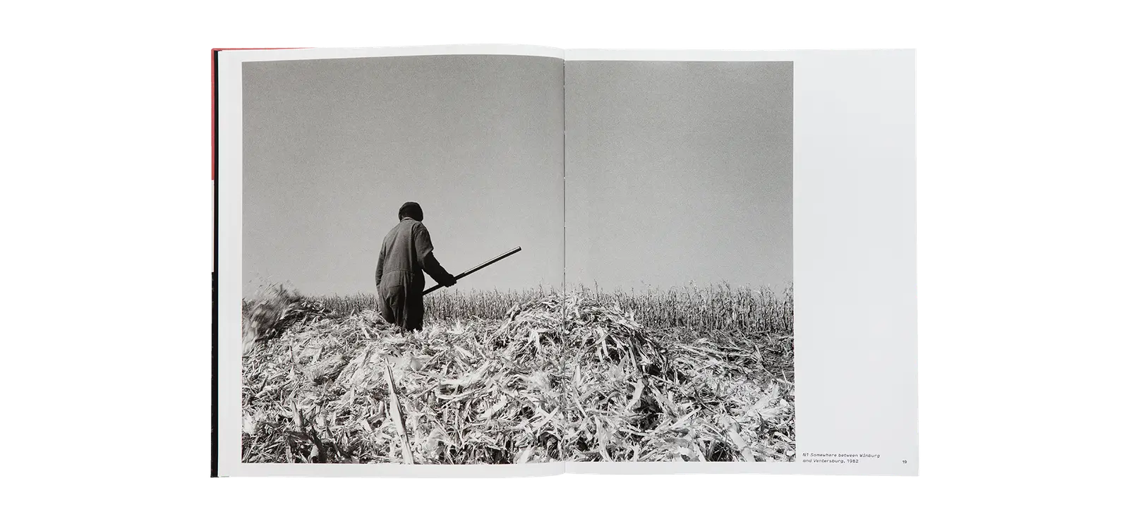 Out of Place image 4