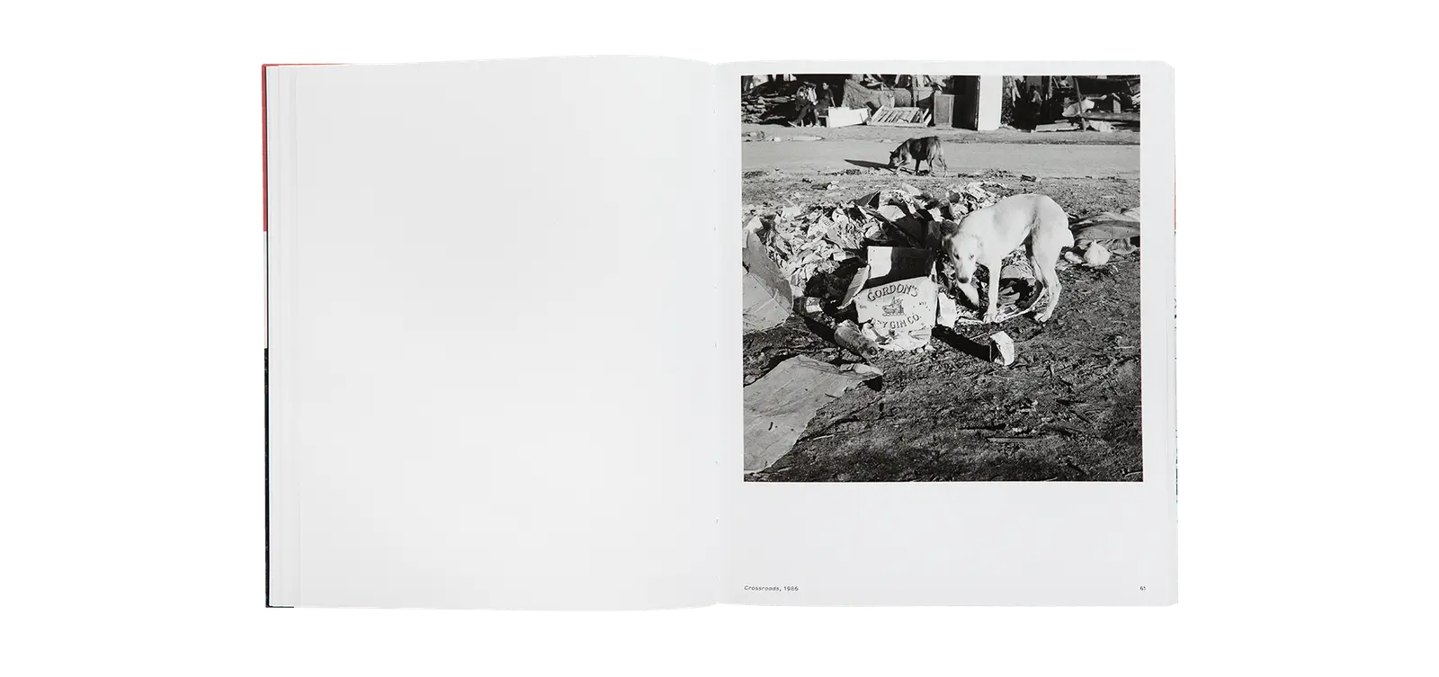 Out of Place image 5