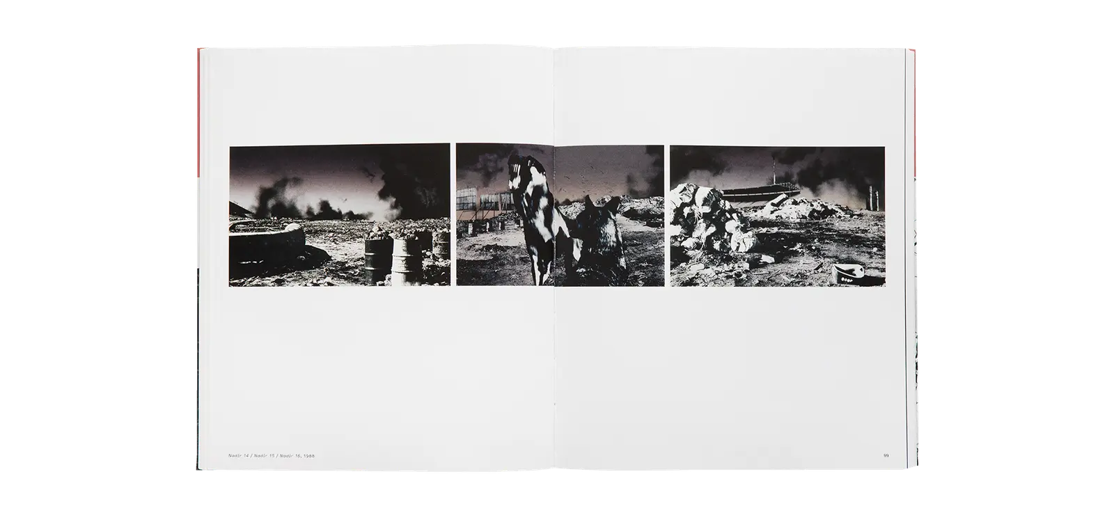 Out of Place image 7