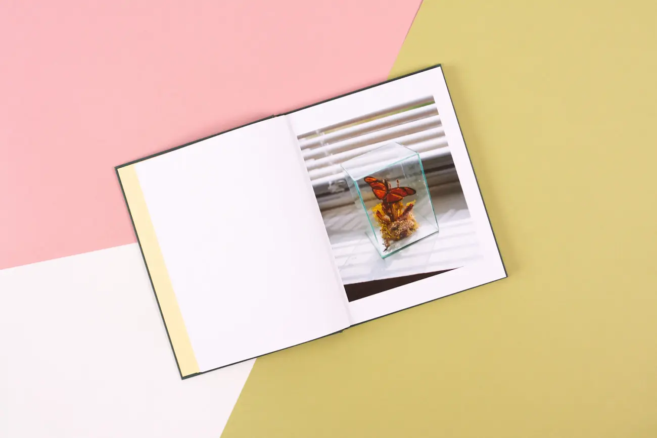 The Tiger Beetle image 2