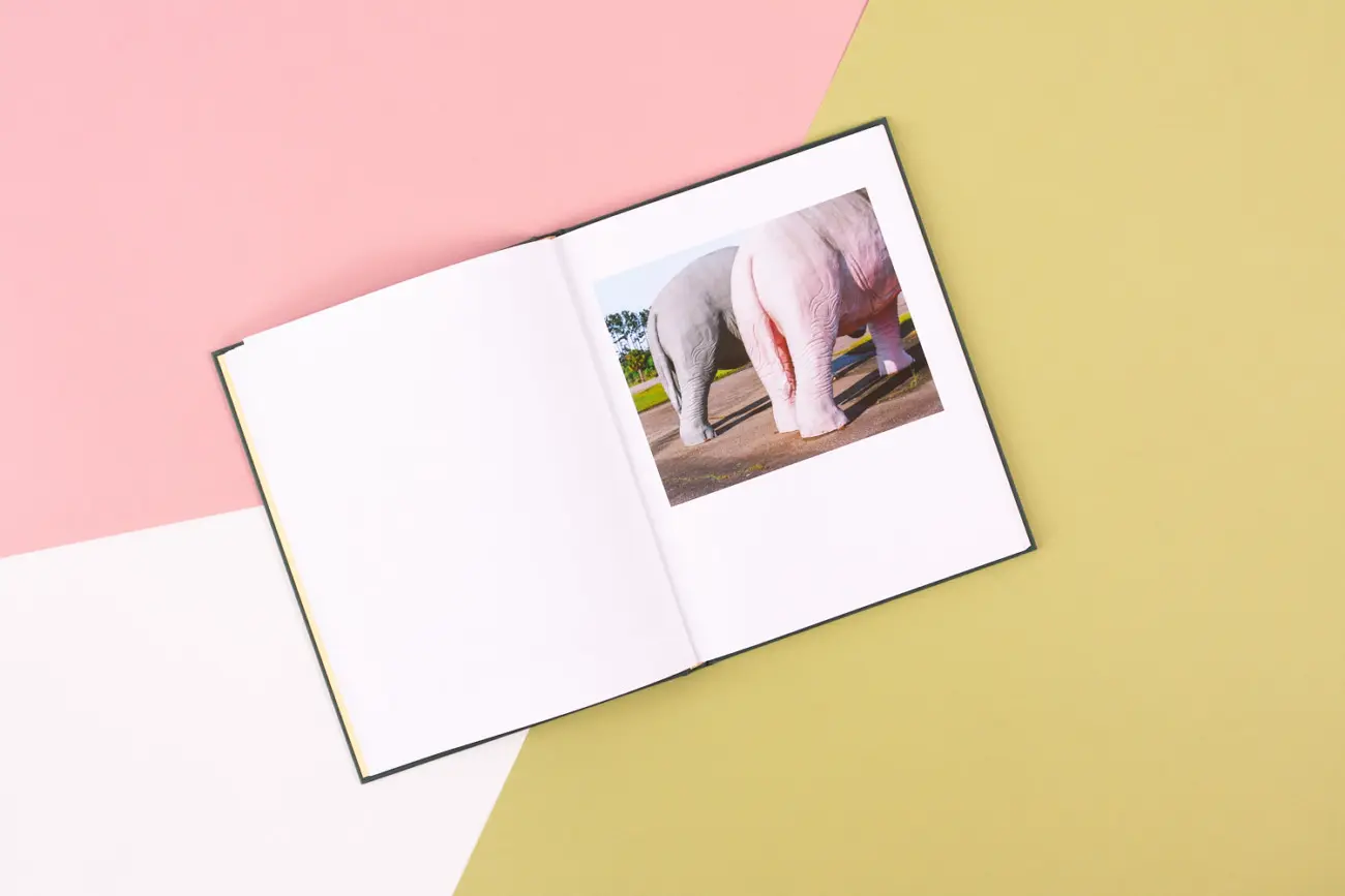 The Tiger Beetle image 4