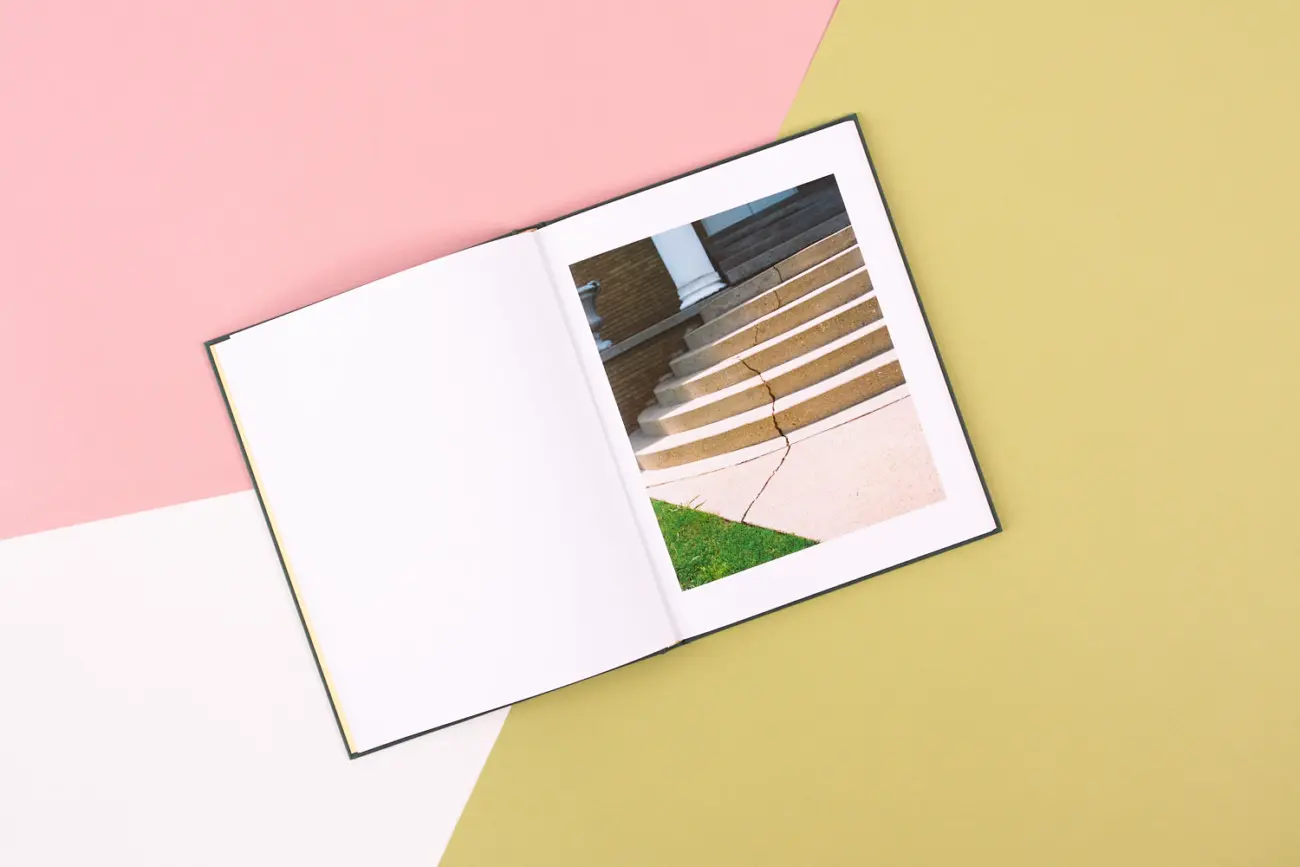 The Tiger Beetle image 5