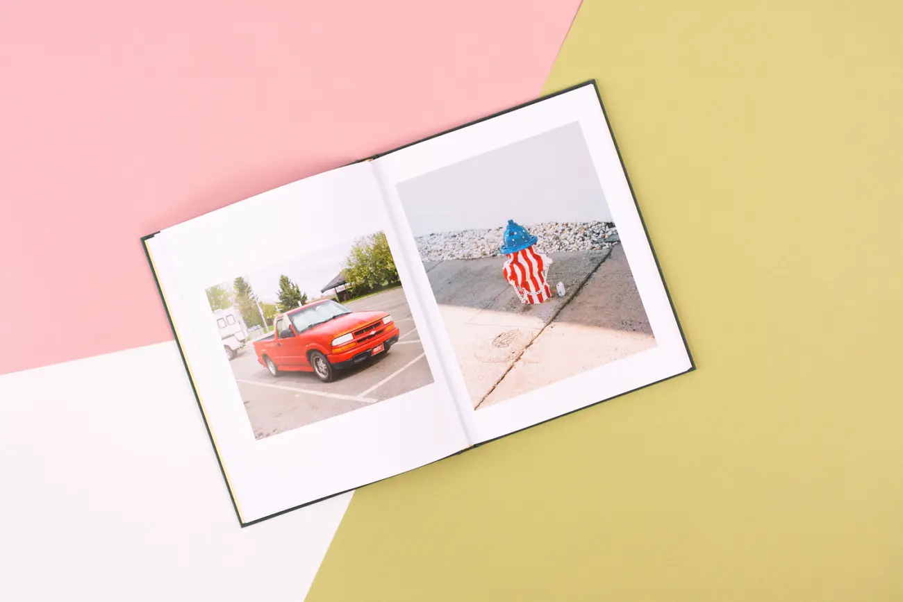 The Tiger Beetle image 6