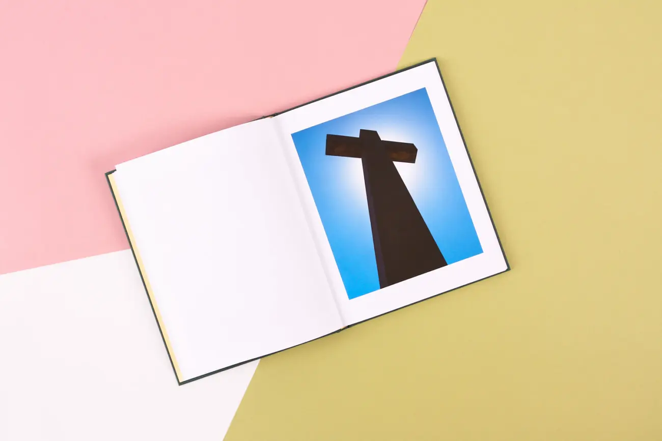 The Tiger Beetle image 8