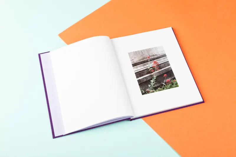 Flat Pictures (You Can Feel) image 2