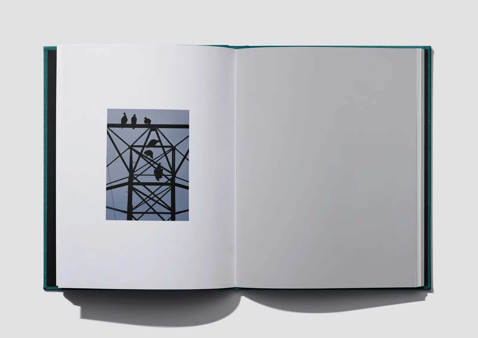 Quicker than Coal Ash image 8