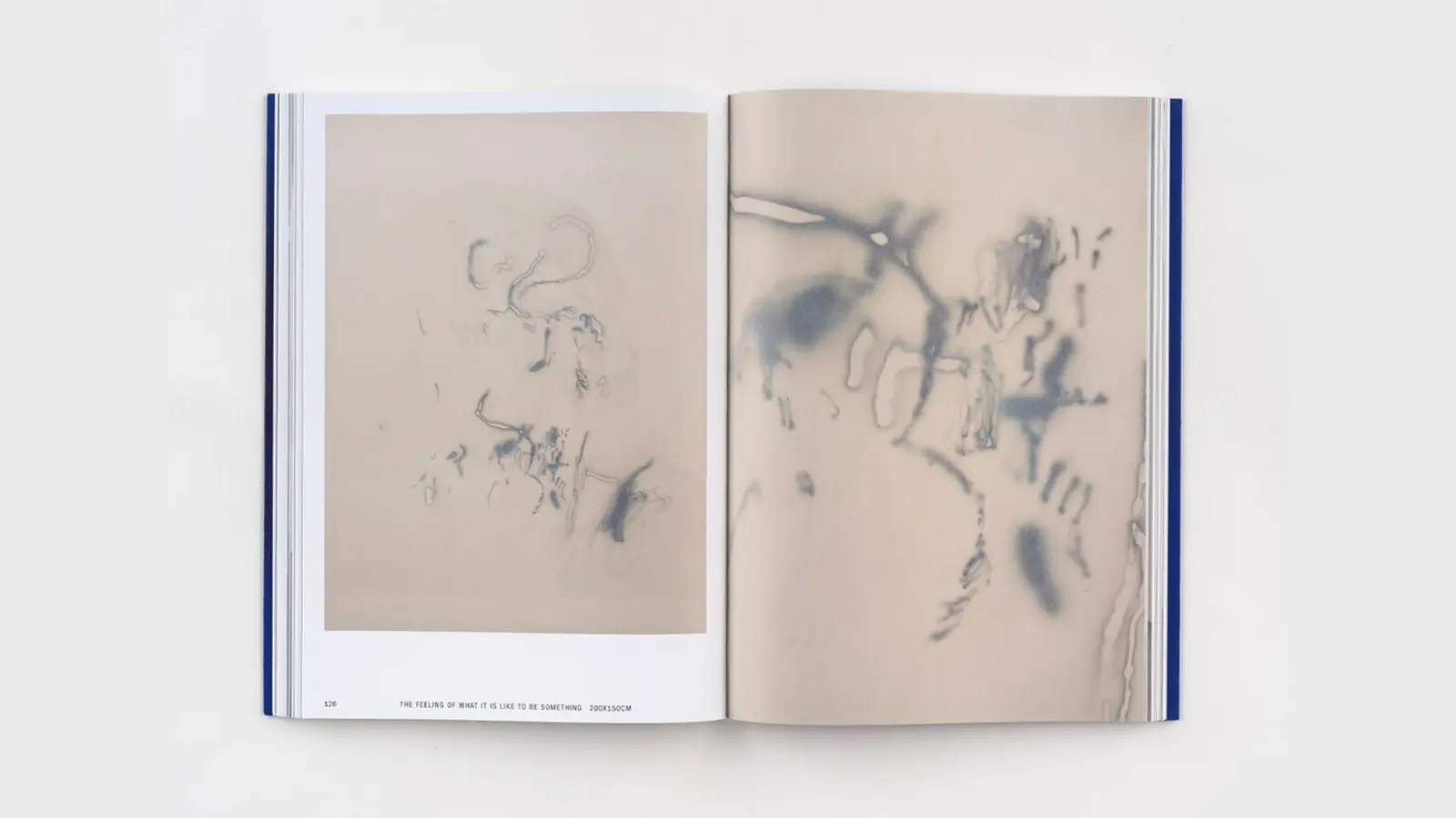 Tuning the Sky image 7