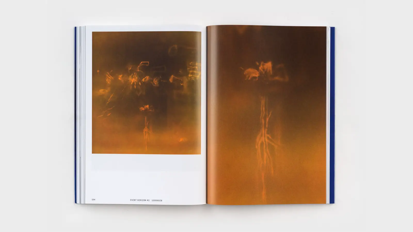 Tuning the Sky image 9