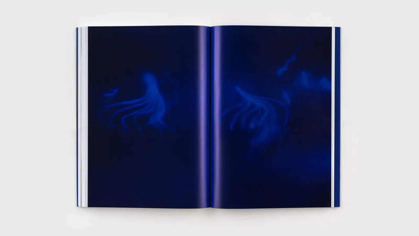 Tuning the Sky image 11