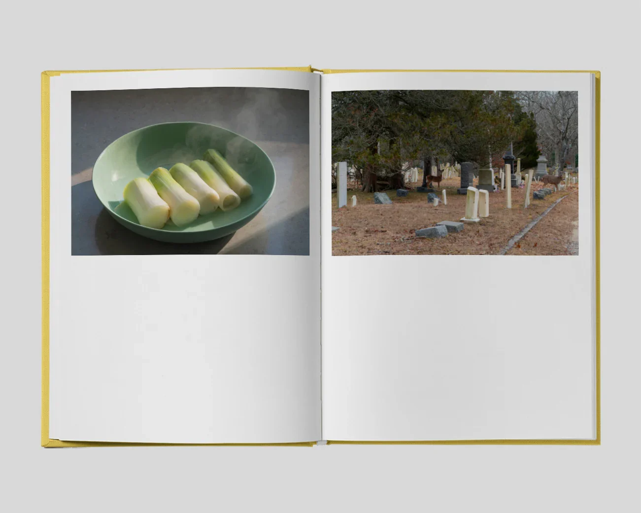 Irreversible Order image 2