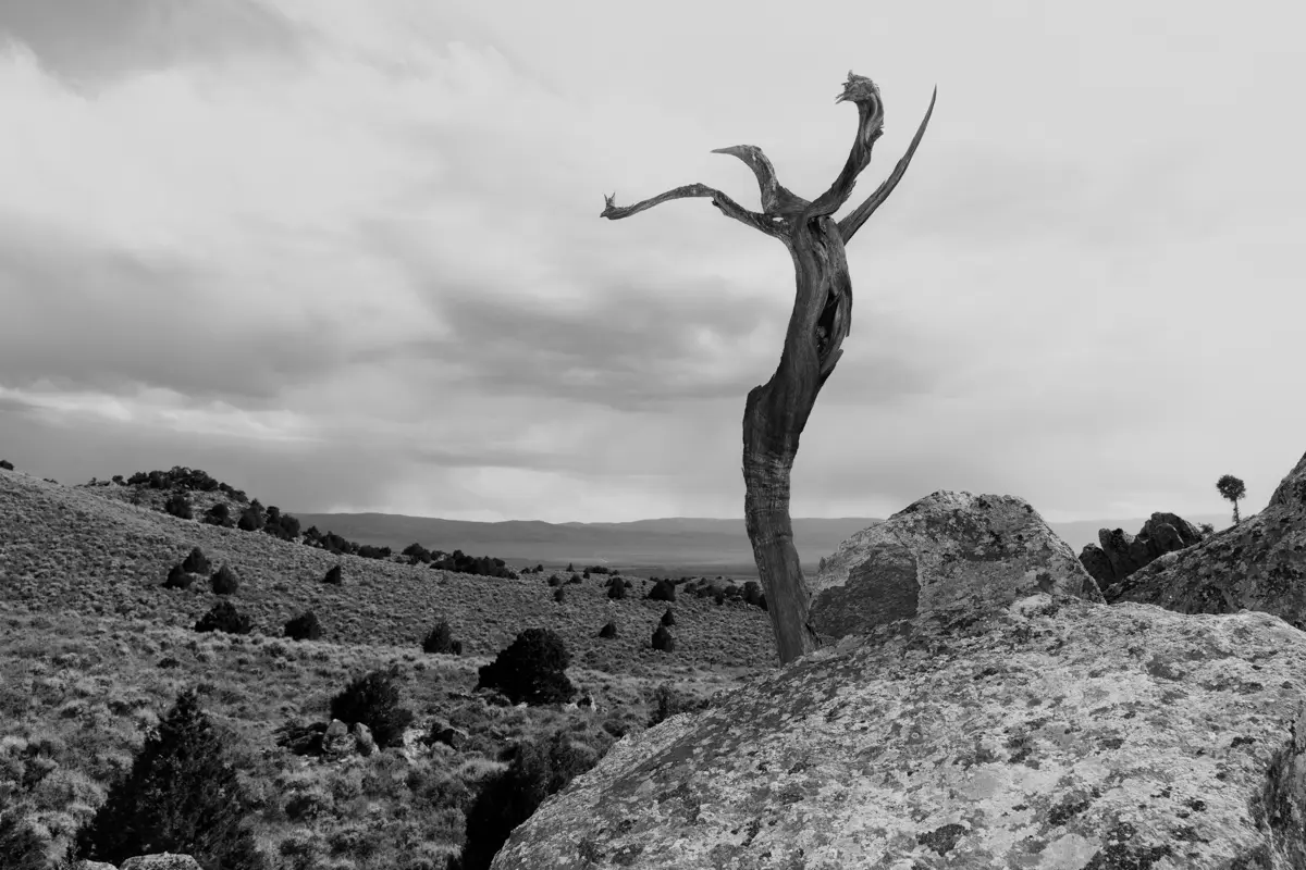 The Grove image 6