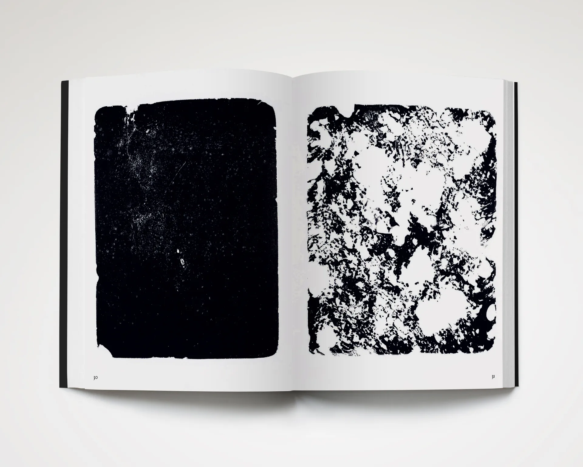 Something Vibrantly Alive image 4