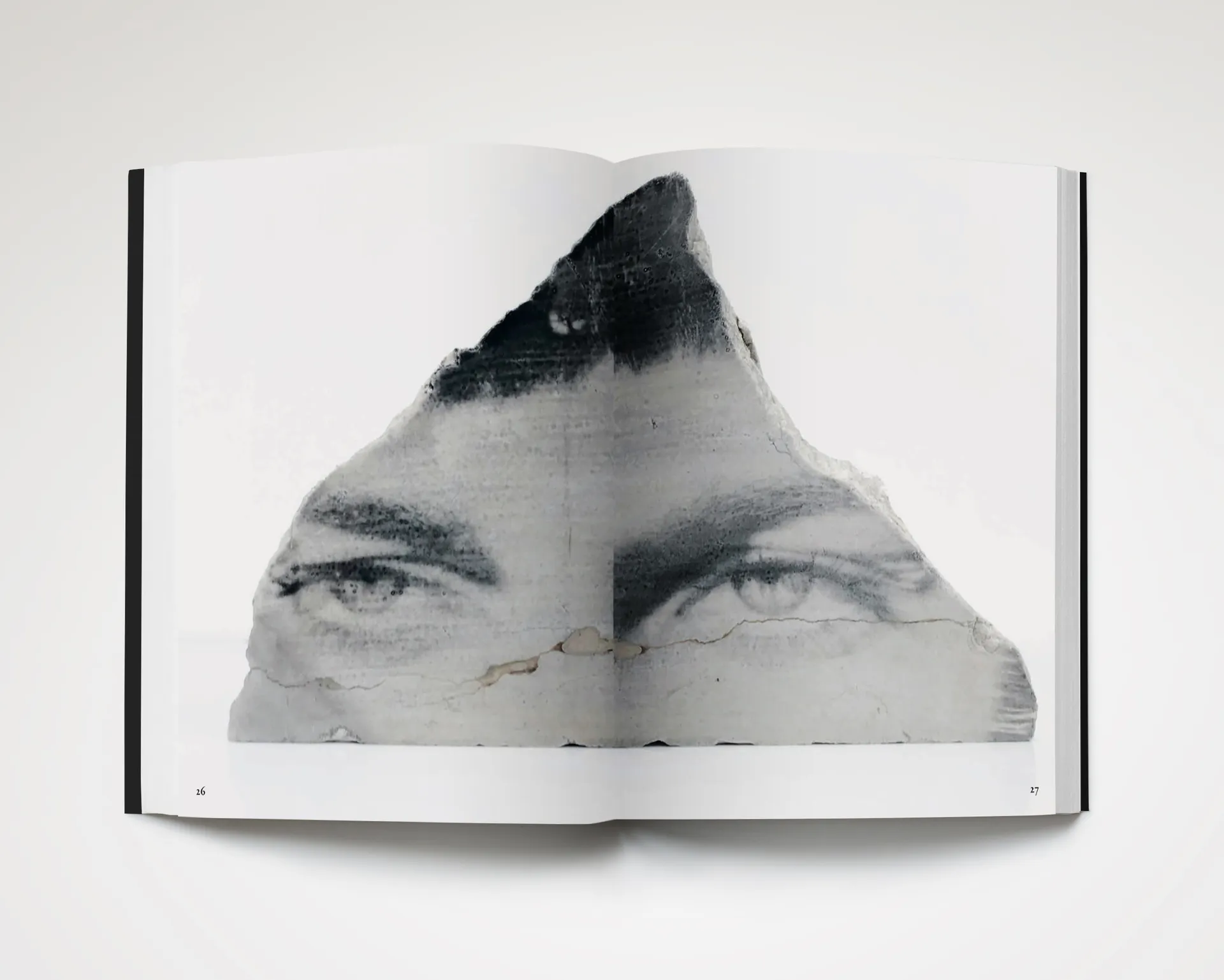 Something Vibrantly Alive image 6