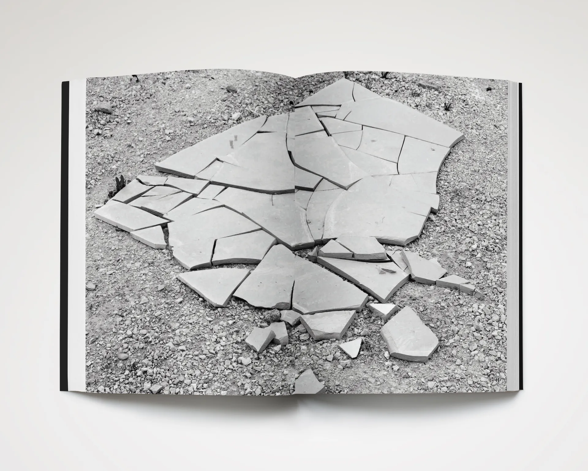 Something Vibrantly Alive image 7