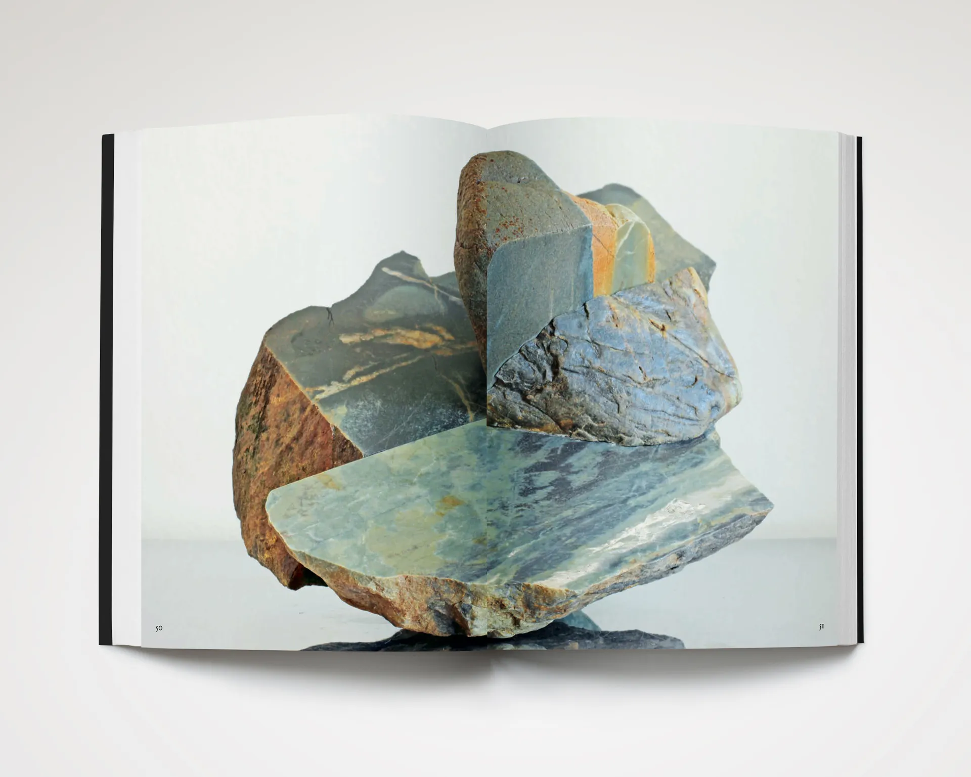 Something Vibrantly Alive image 8