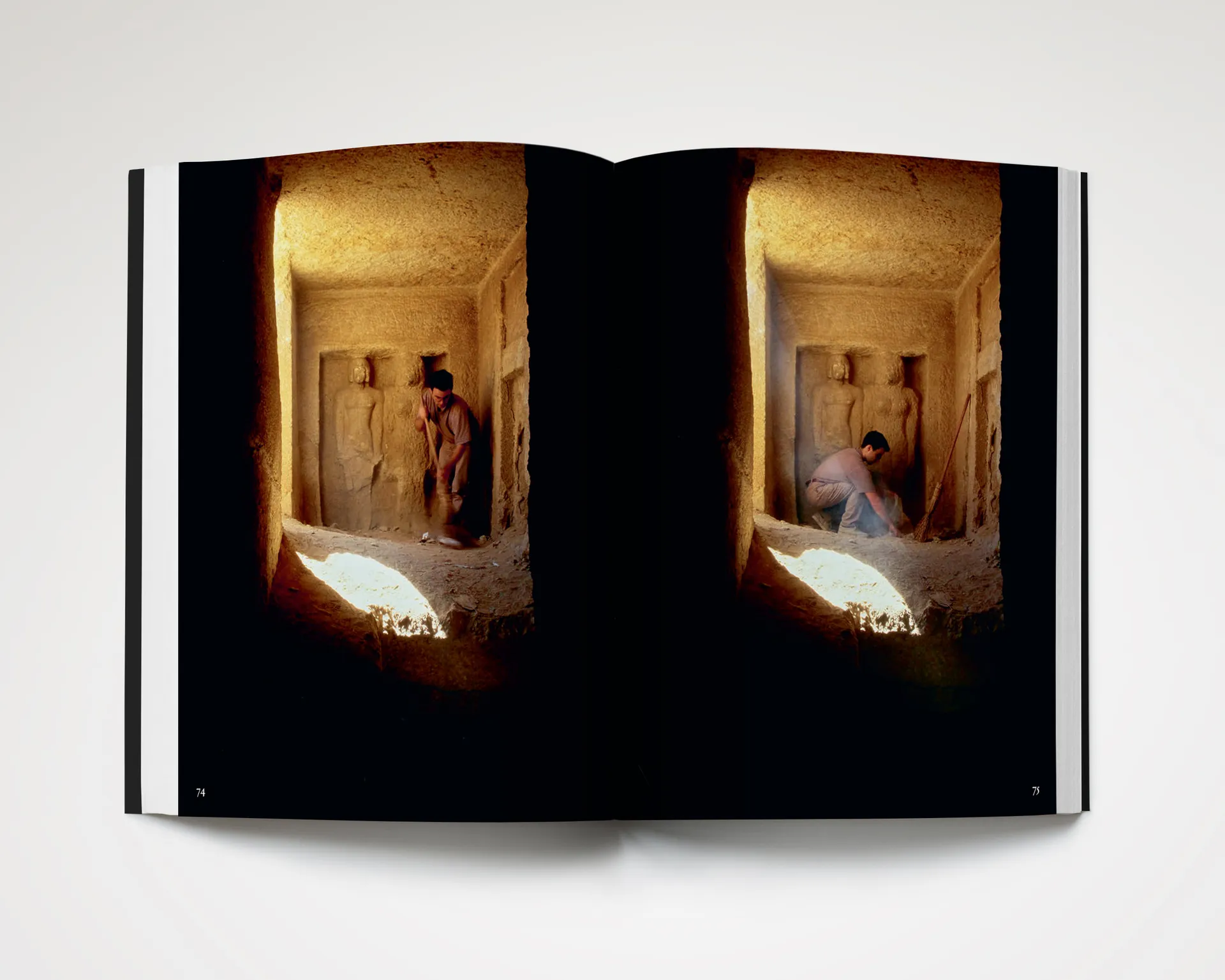 Something Vibrantly Alive image 10