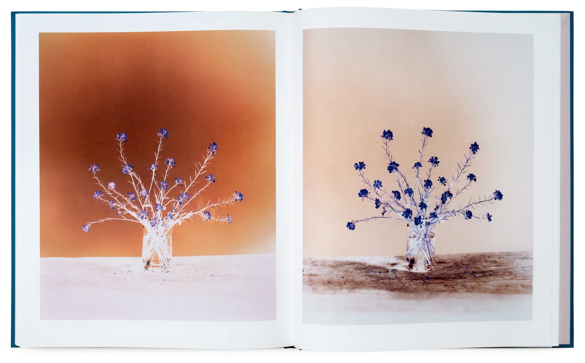 Flowers for Bea image 3