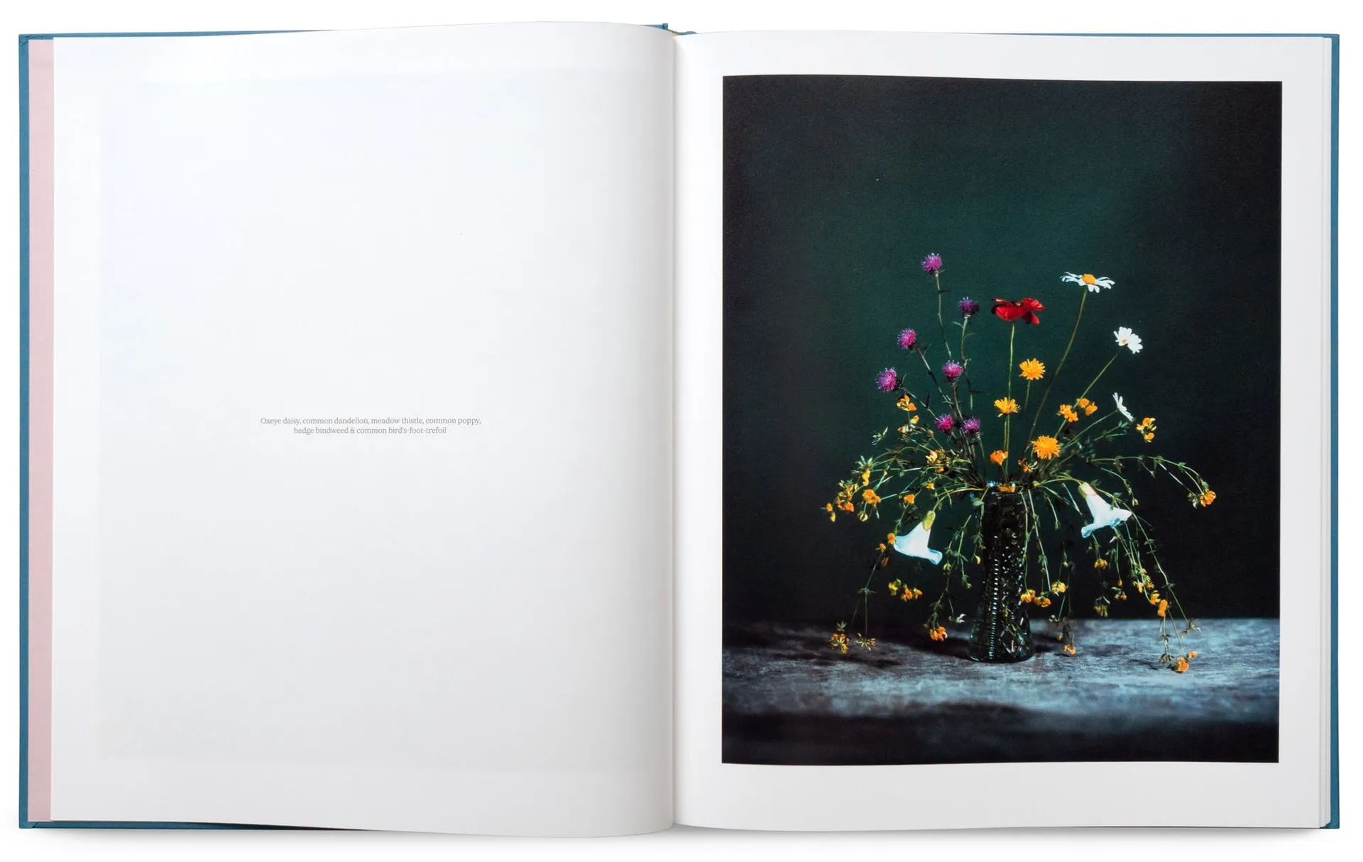 Flowers for Bea image 5