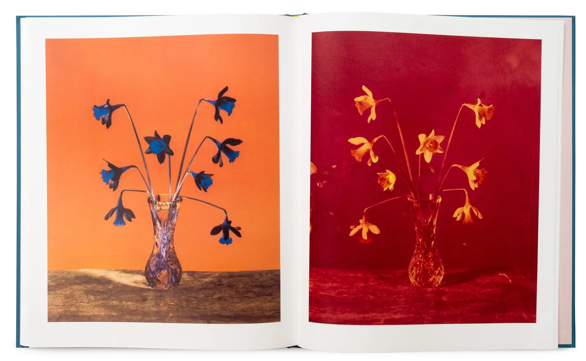 Flowers for Bea image 6