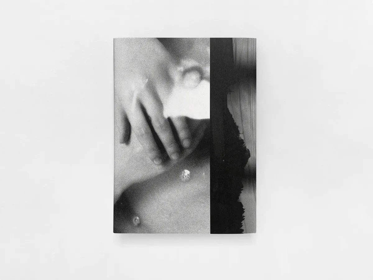 House of the Stray Dog