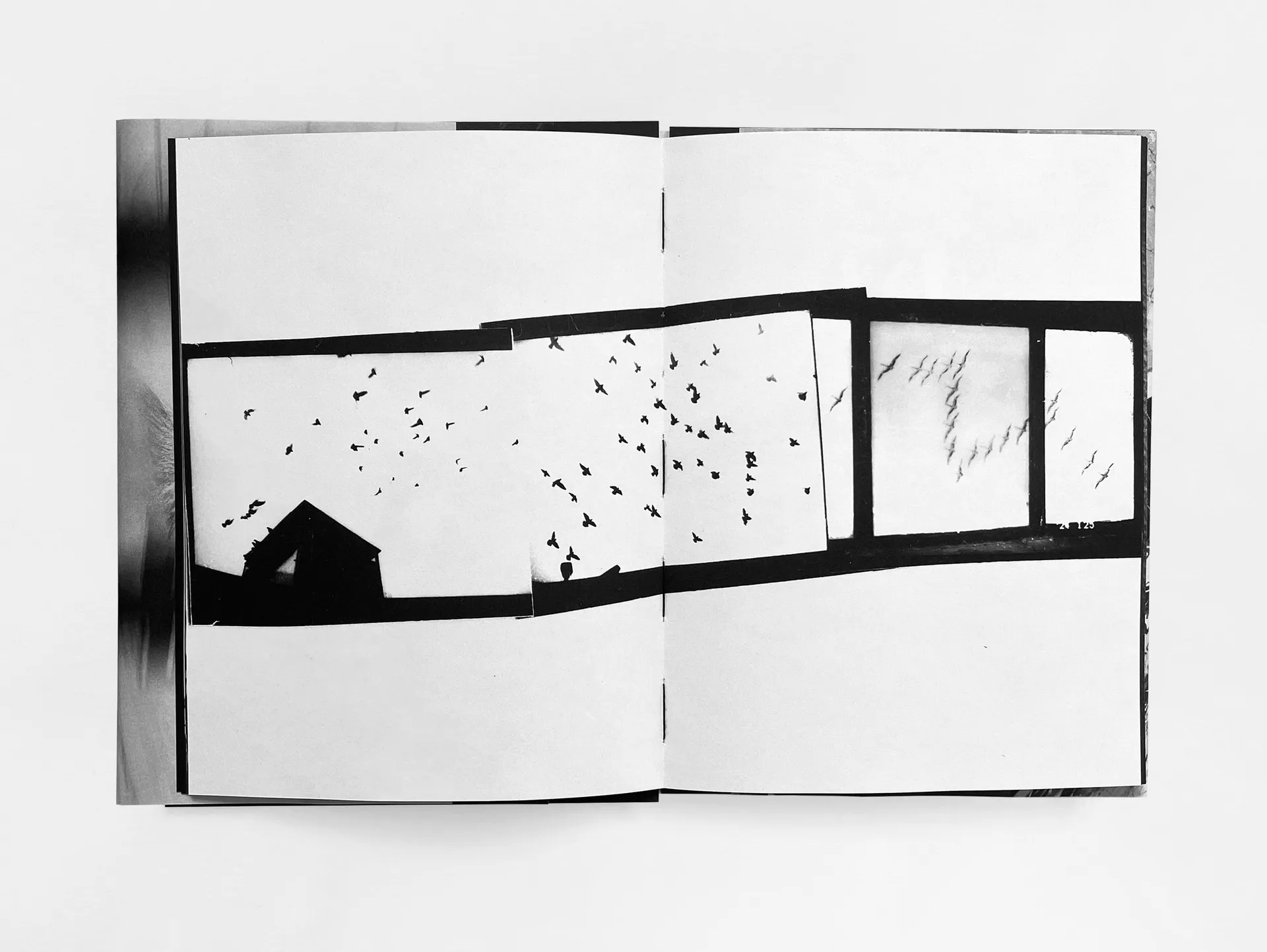 House of the Stray Dog image 4