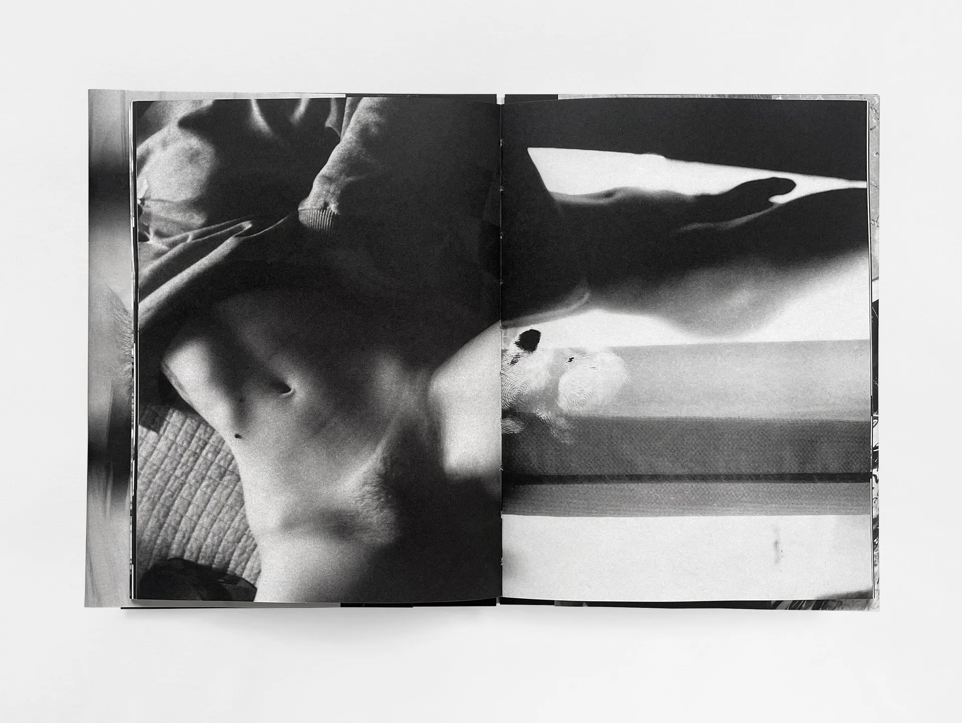 House of the Stray Dog image 7