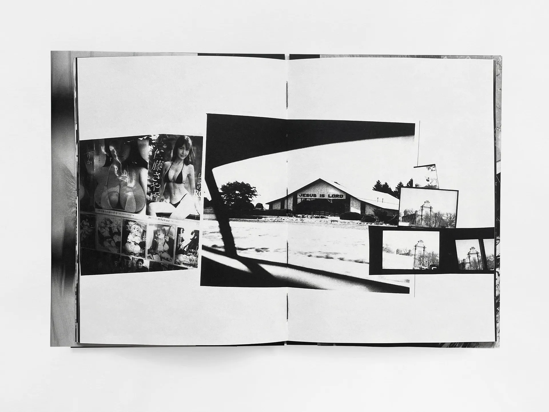 House of the Stray Dog image 8