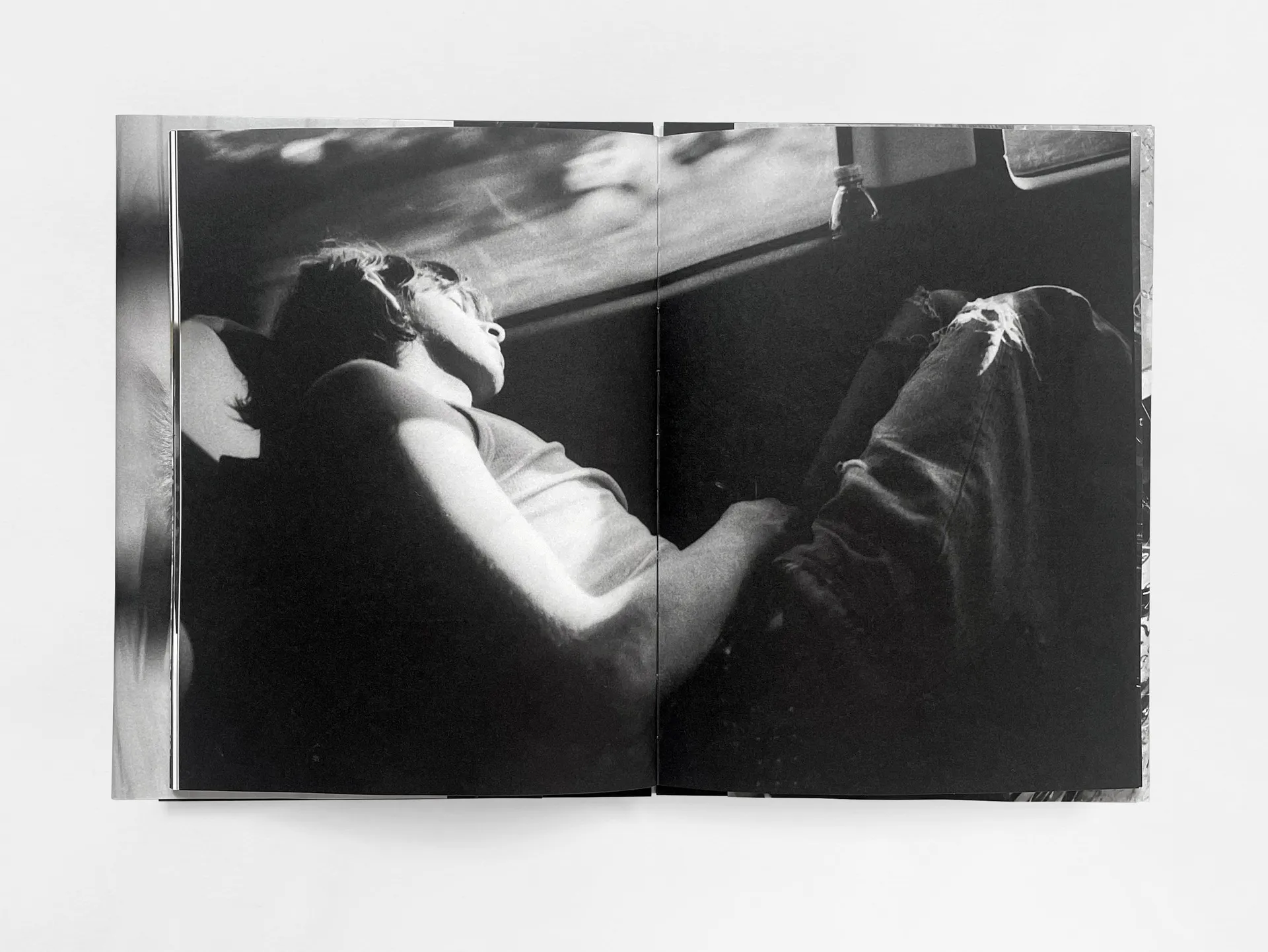 House of the Stray Dog image 9