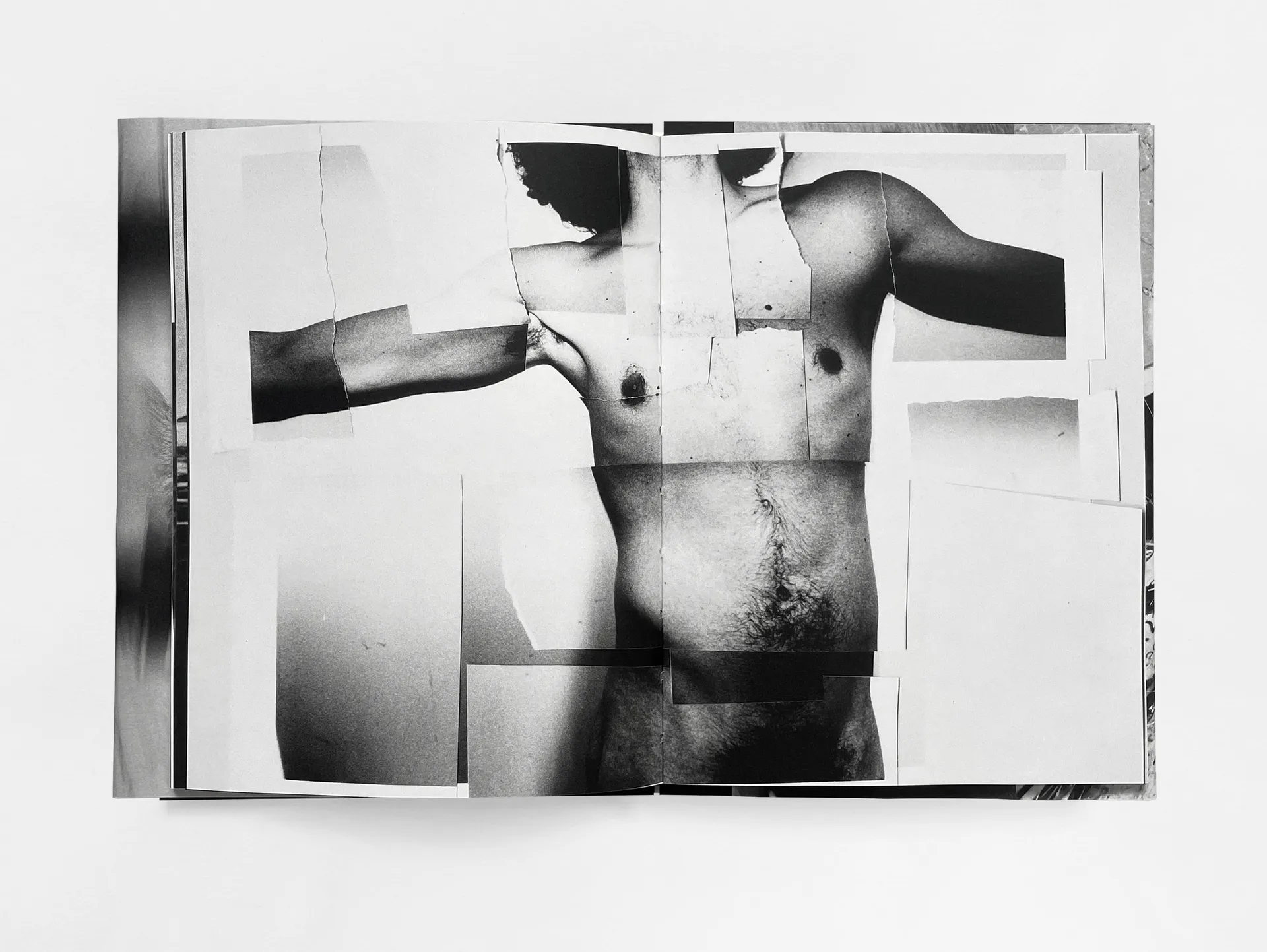 House of the Stray Dog image 10