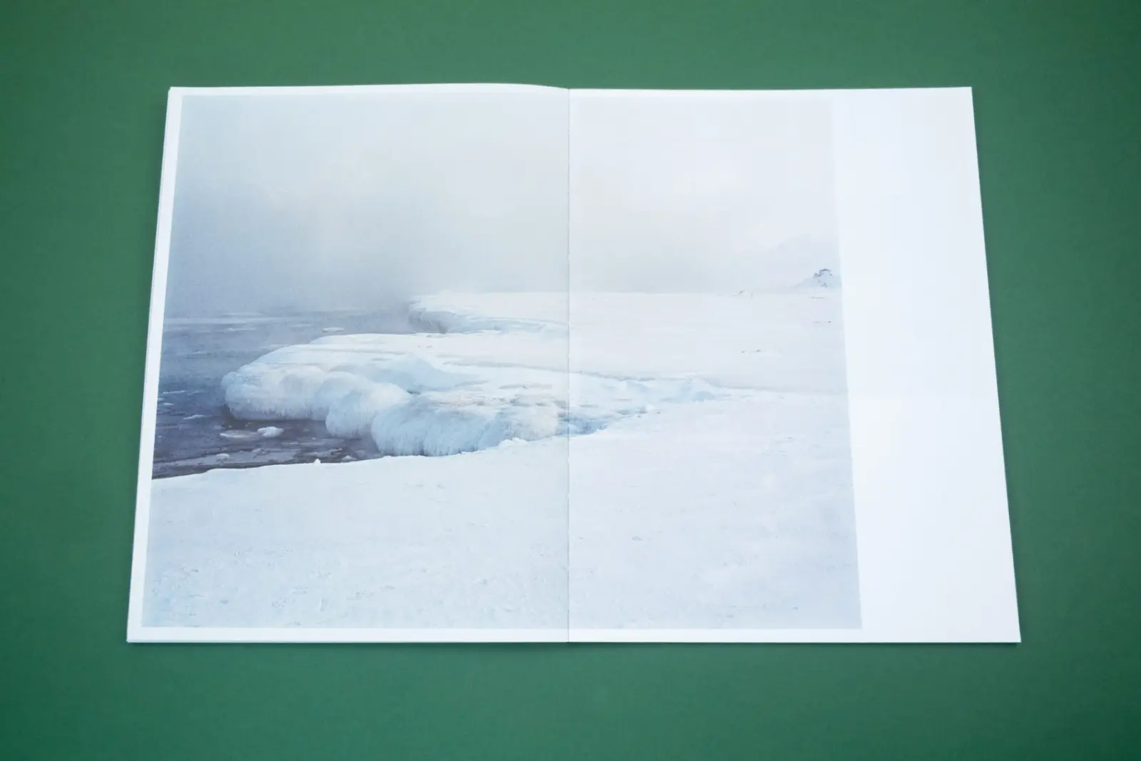 Only Barely Still – On Women and Wilderness image 4