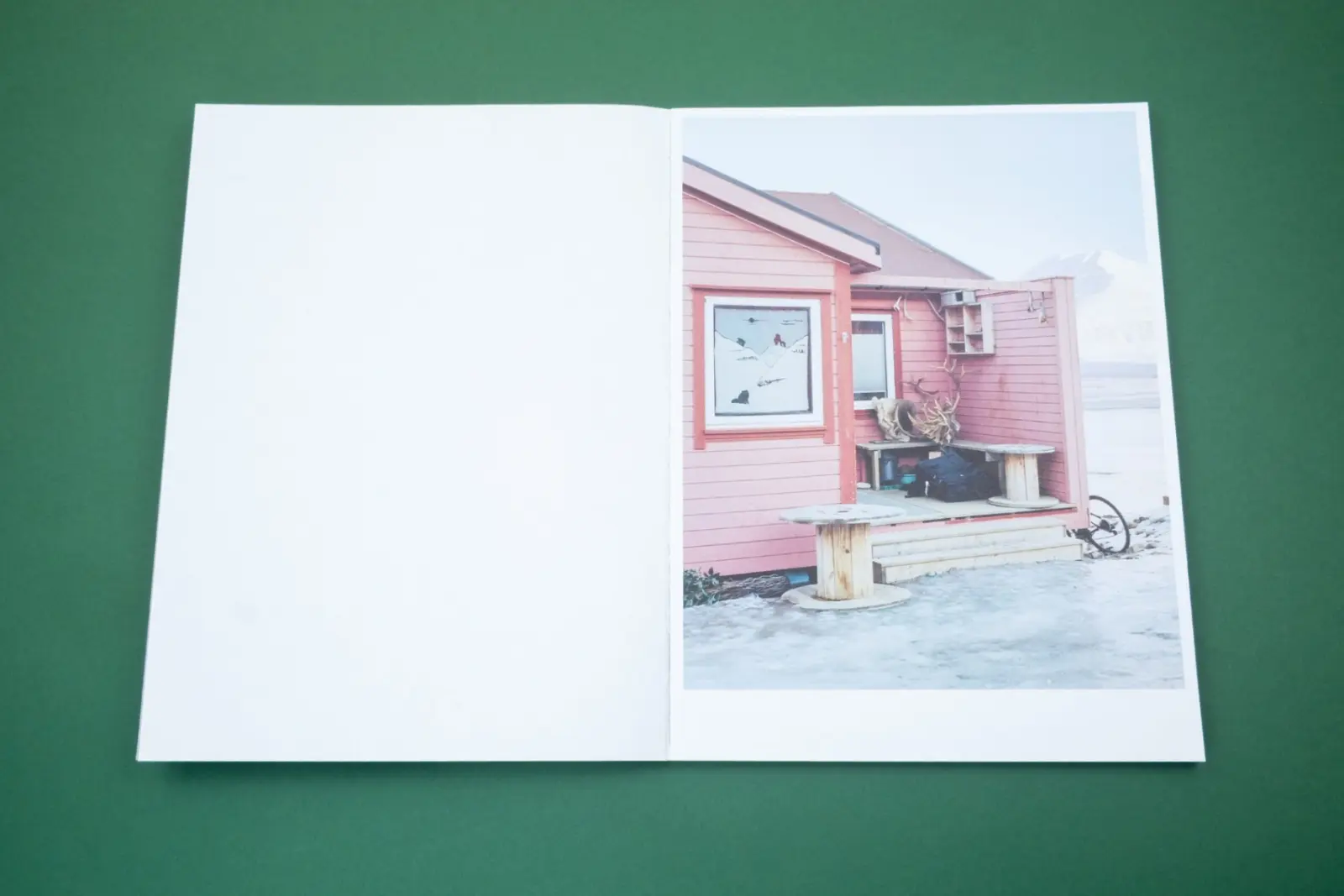 Only Barely Still – On Women and Wilderness image 7