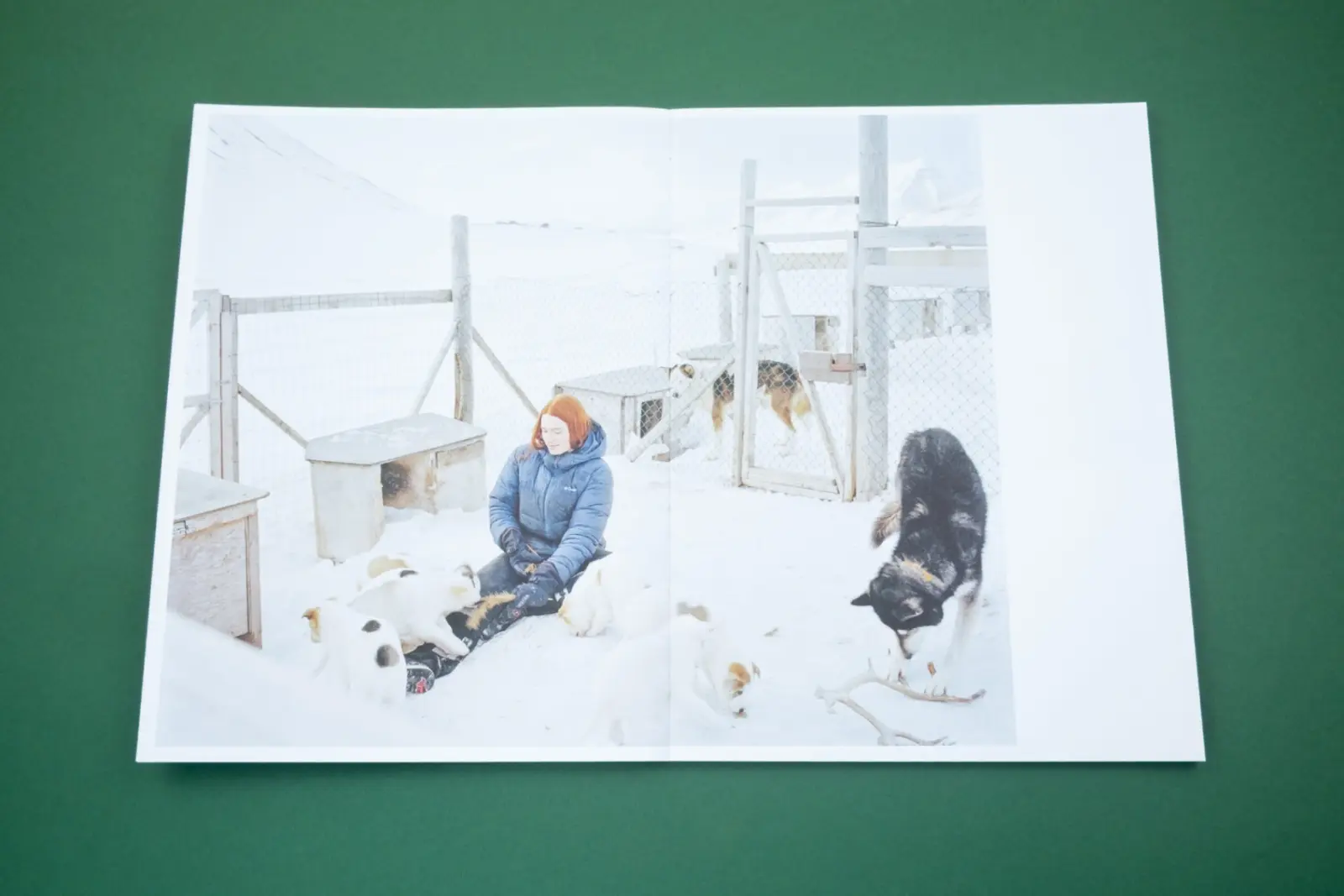 Only Barely Still – On Women and Wilderness image 8