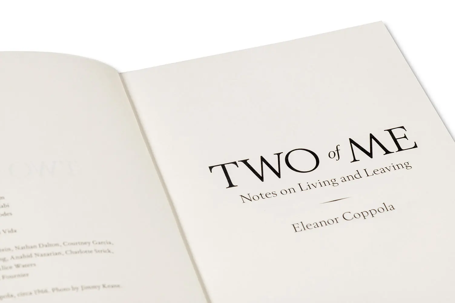 Two of Me: Notes on Living and Leaving image 11
