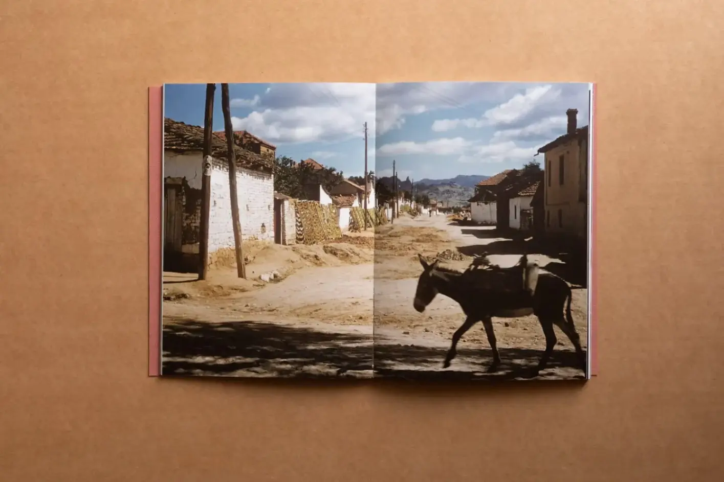 El Álbum del Arquitecto 02 - Denise Scott Brown image 4