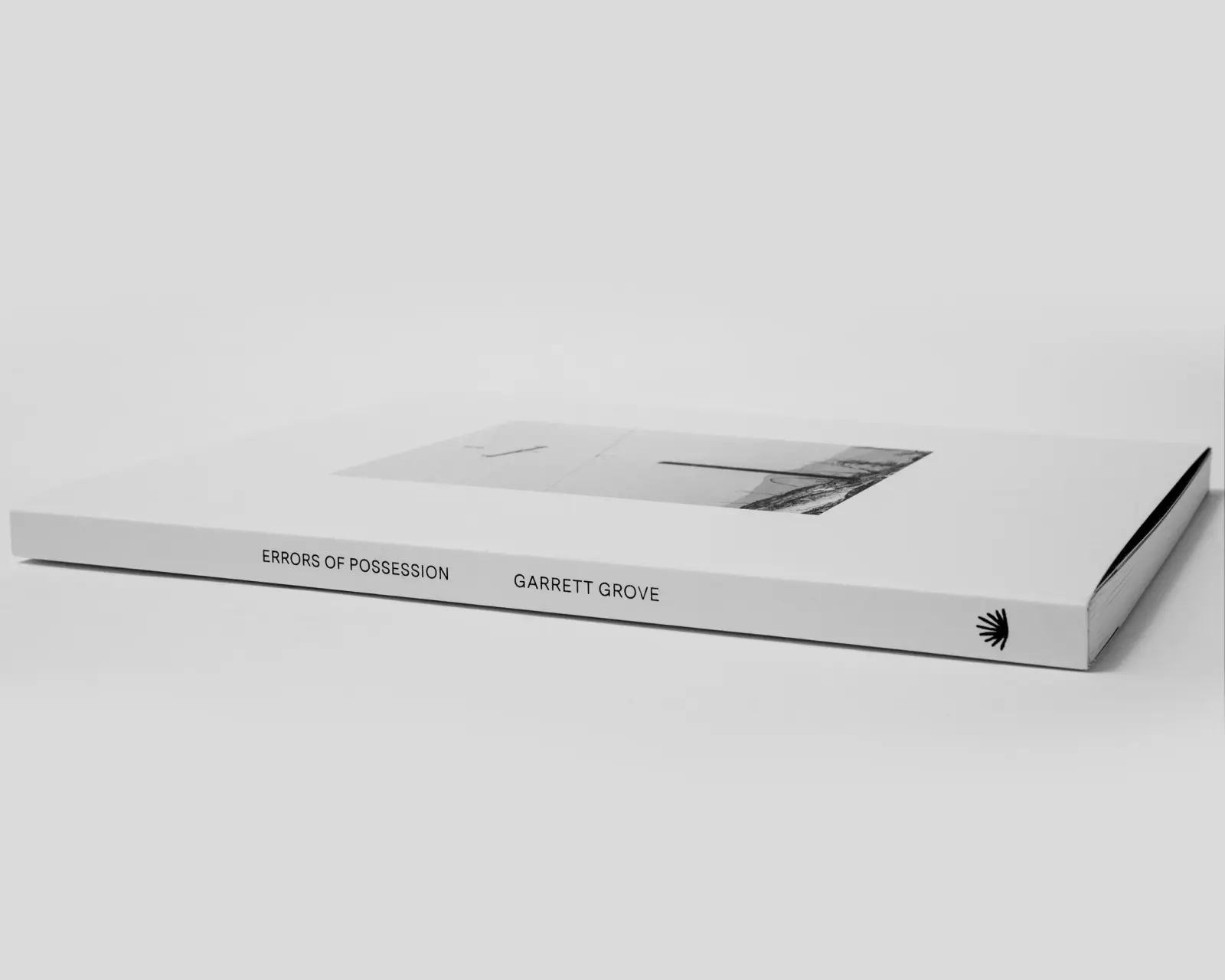 Errors of Possession image 2