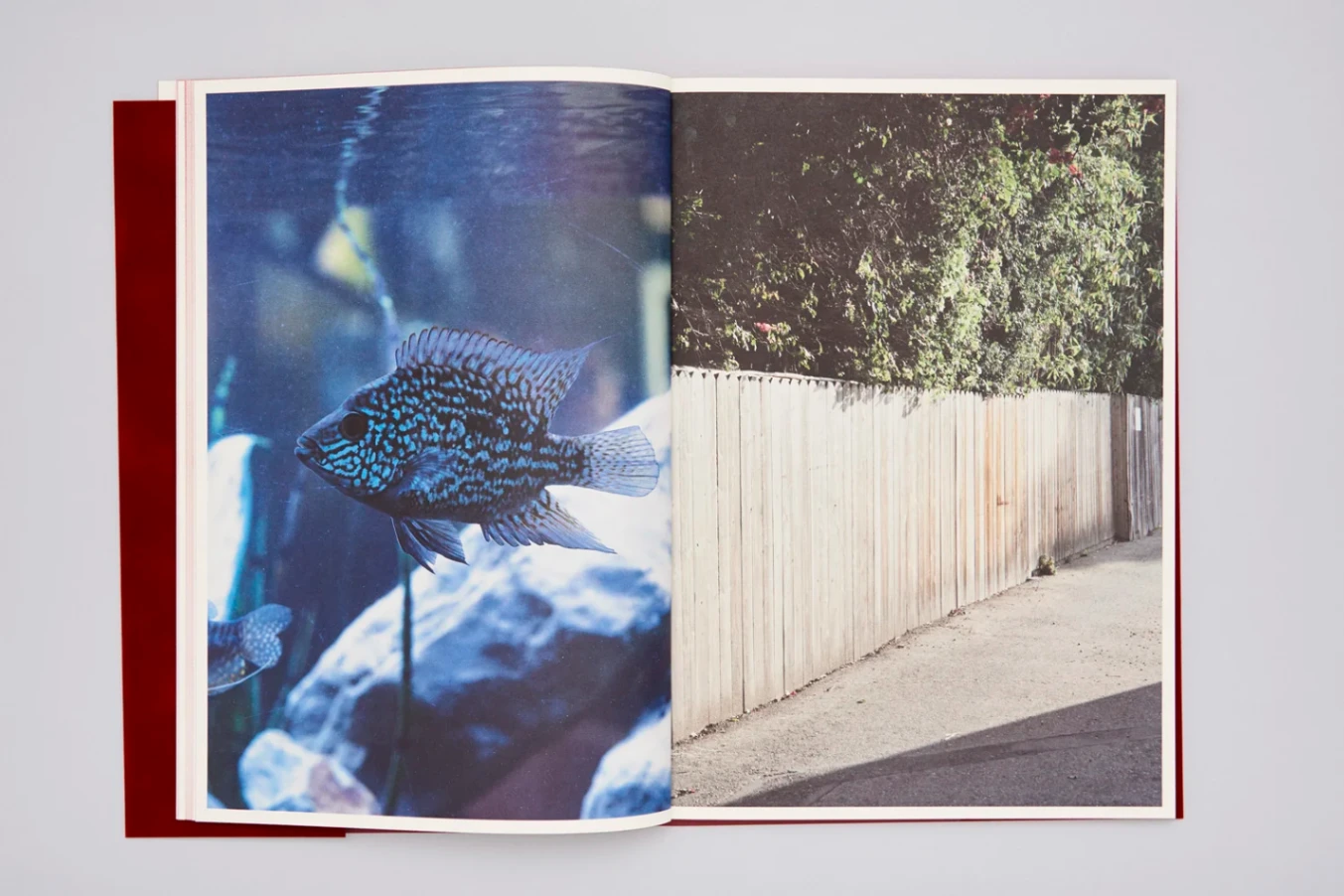 Santa Barbara Return Jobs Back to Us image 2