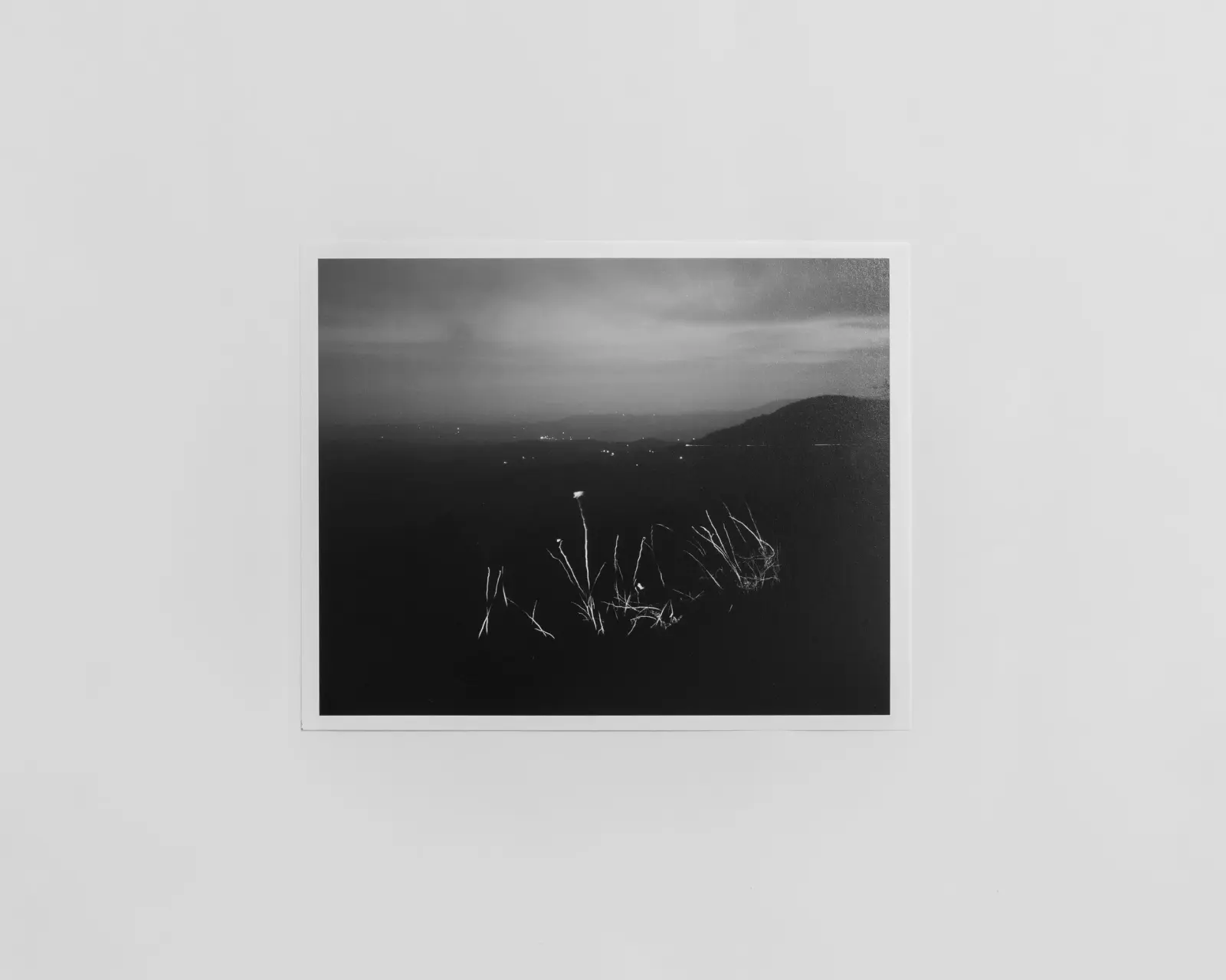 Jasper: Special Edition image 2