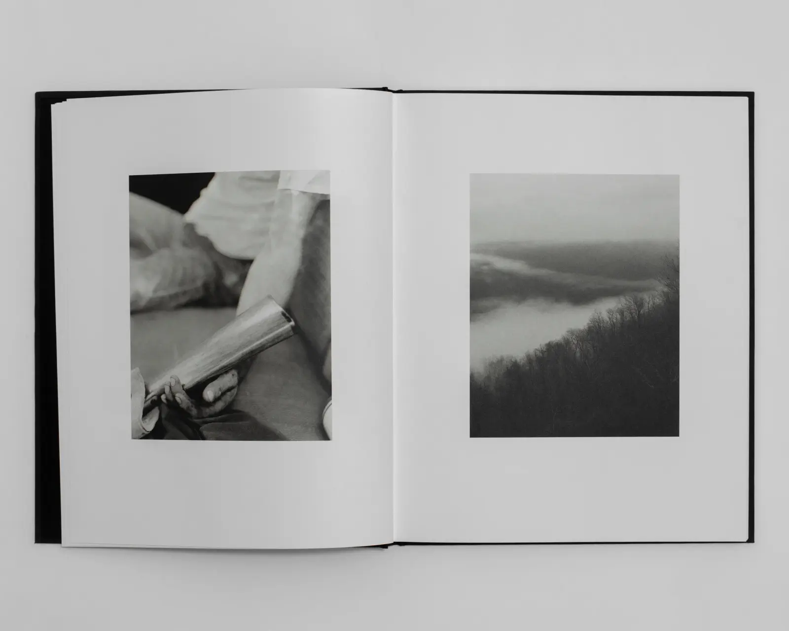 Jasper: Special Edition image 4