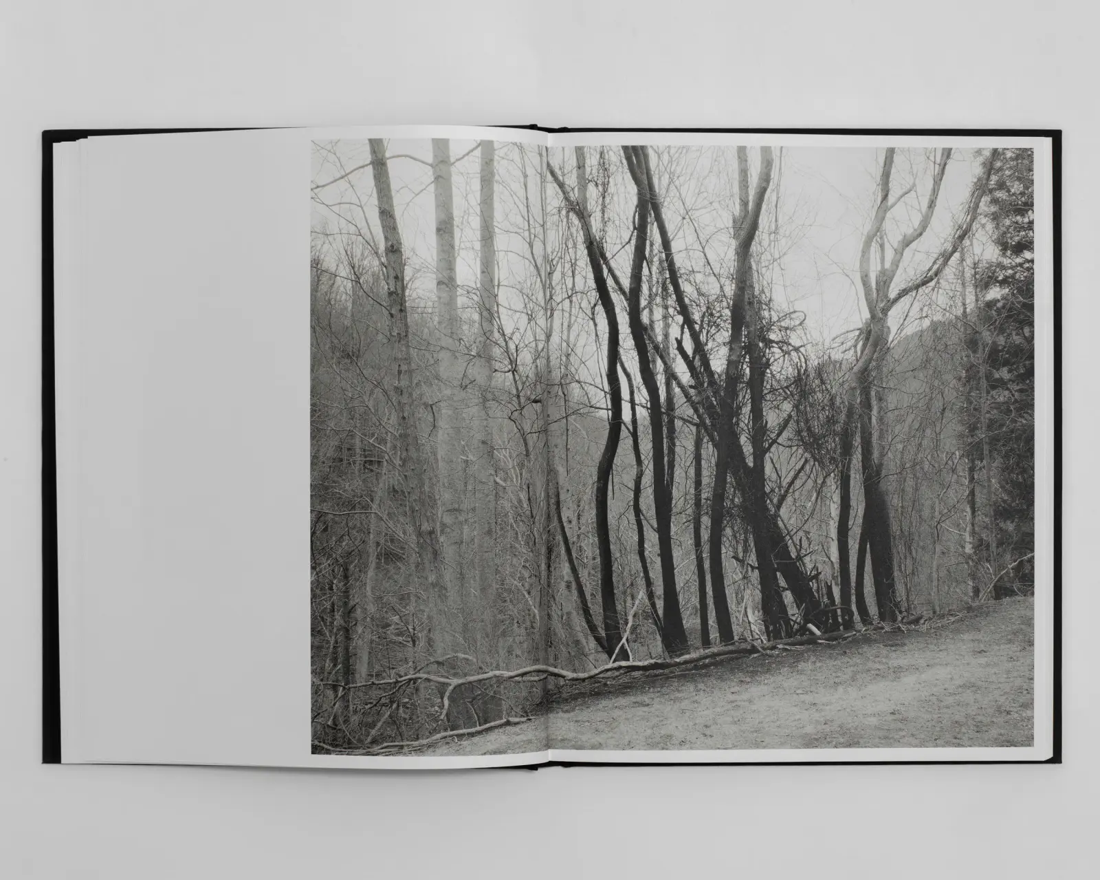 Jasper: Special Edition image 7