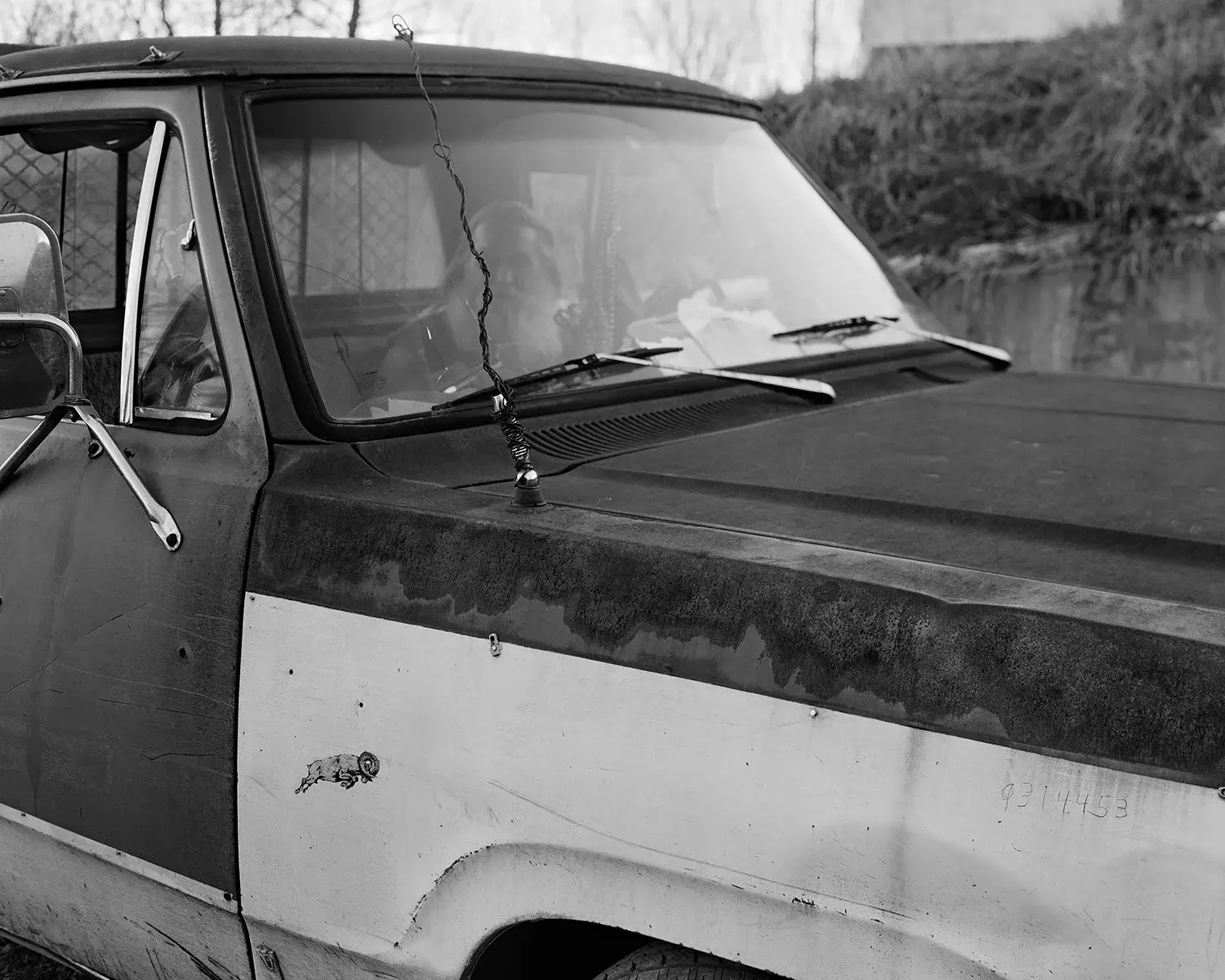 Jasper: Special Edition image 8