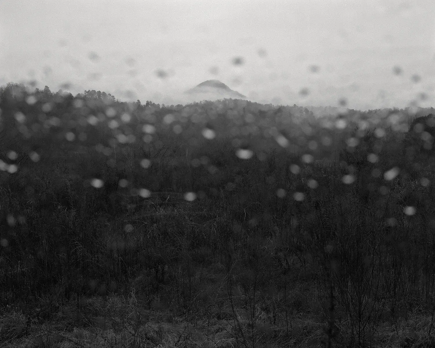 Jasper: Special Edition image 9