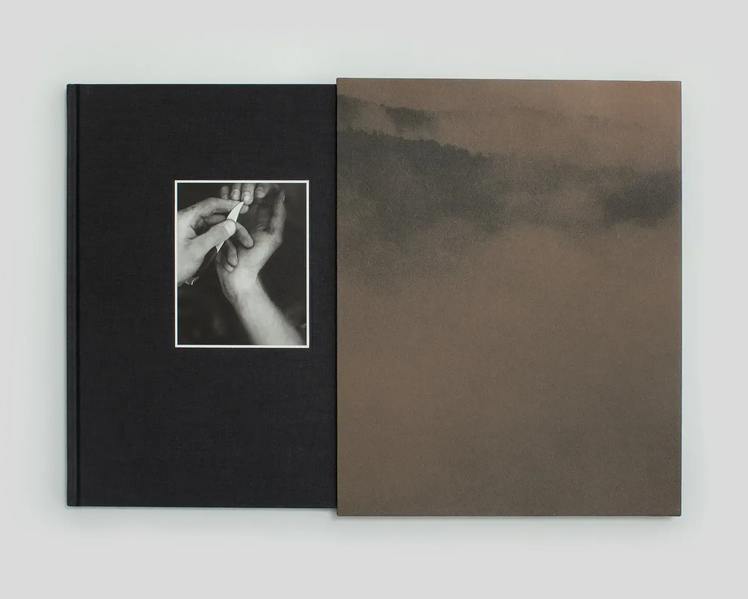 Jasper: Special Edition image 11