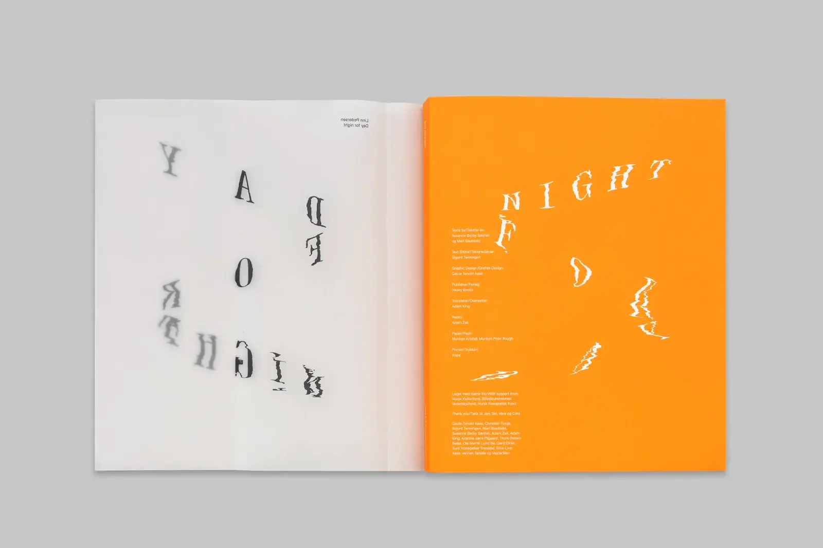 Day for Night image 2