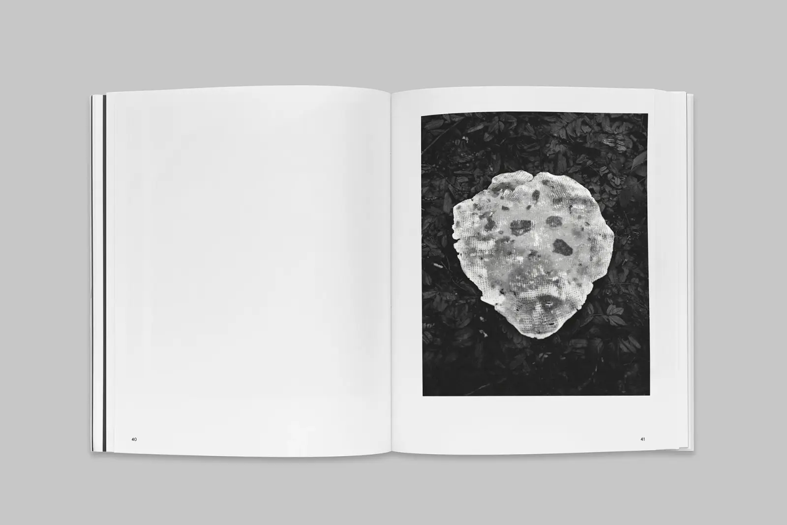 Day for Night image 6