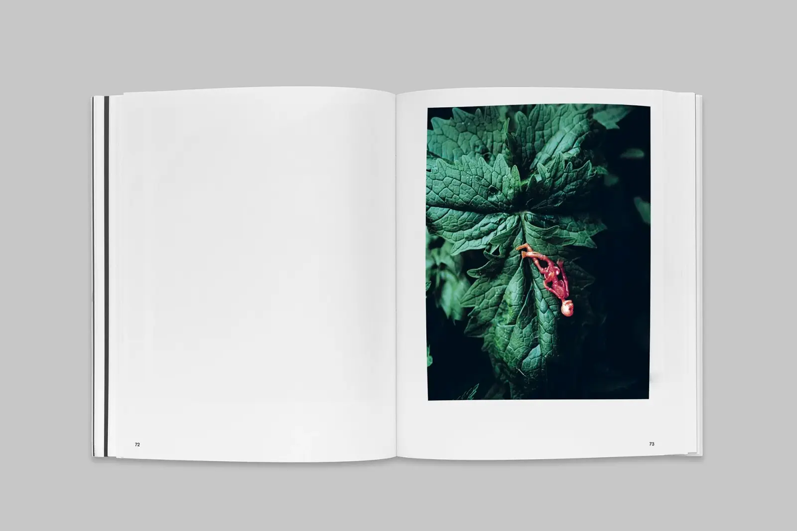 Day for Night image 9