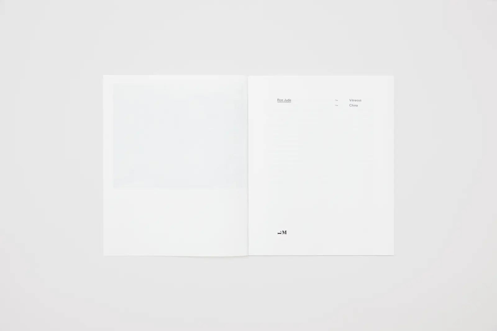 Vitreous China image 3