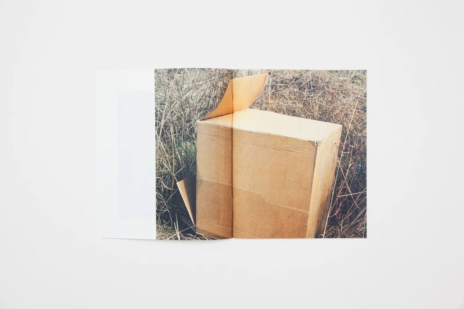 Vitreous China image 6