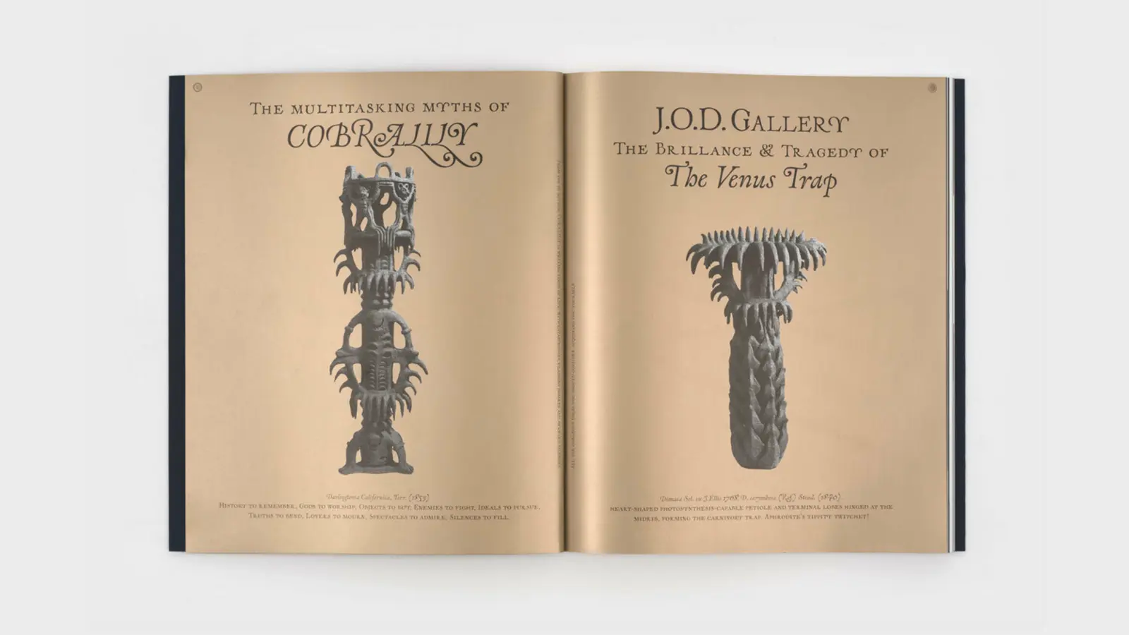 Jacuzzi of Despair image 3